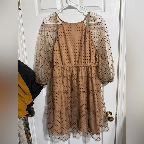 Entro Tan Polka Dot Long Sleeve Dress with Sheer Sleeves - Picture 5 of 5